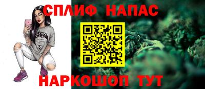 молекула духа Ставрополь
