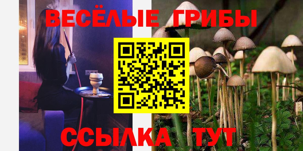 Галлюциногенные грибы MAGIC MUSHROOMS Ноябрьск