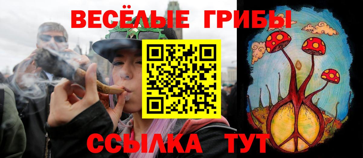 Галлюциногенные грибы Ноябрьск